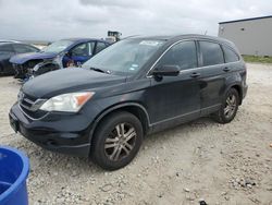 Salvage cars for sale at Temple, TX auction: 2011 Honda CR-V EX