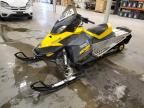 2008 Skidoo 2008 Skidoo MXZ