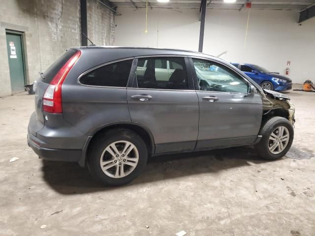 2010 Honda CR-V EXL