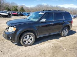 Salvage SUVs for sale at auction: 2012 Ford Escape XLT