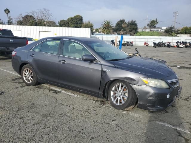 2011 Toyota Camry Hybrid