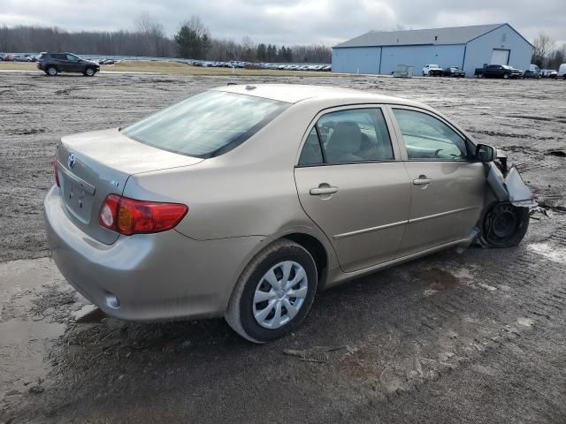 2010 Toyota Corolla Base