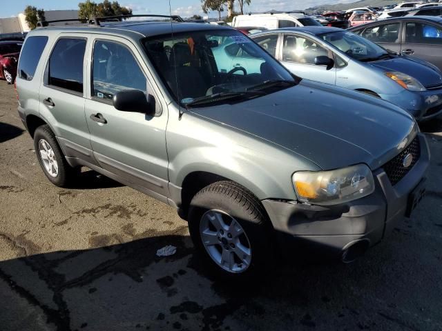 2007 Ford Escape XLT