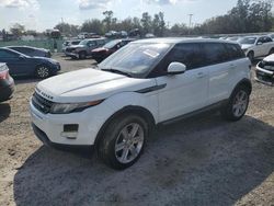 Land Rover salvage cars for sale: 2014 Land Rover Range Rover Evoque Pure Plus