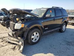 Salvage cars for sale at Conway, AR auction: 2008 Ford Escape XLT