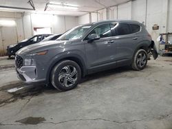 Salvage cars for sale at Madisonville, TN auction: 2023 Hyundai Santa FE SEL