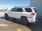 2010 Toyota 4runner SR5