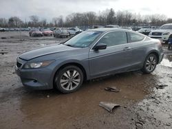 Salvage cars for sale at Chalfont, PA auction: 2010 Honda Accord EXL