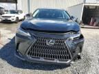 2023 Lexus NX 250