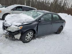 Salvage cars for sale at Cookstown, ON auction: 2009 Toyota Corolla Base