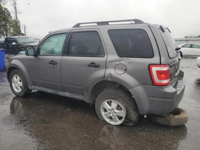 2011 Ford Escape XLT