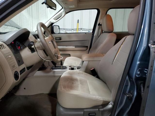 2010 Ford Escape XLT