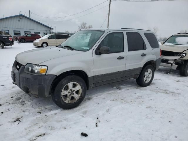 2007 Ford Escape XLT