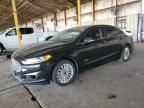 2014 Ford Fusion Titanium Phev