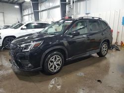 Salvage cars for sale at Ham Lake, MN auction: 2023 Subaru Forester Premium