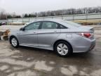 2015 Hyundai Sonata Hybrid