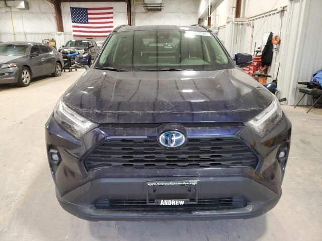 2023 Toyota Rav4 XLE Premium