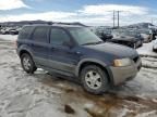 2002 Ford Escape XLT