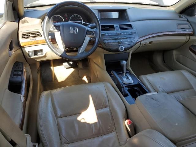 2010 Honda Accord EXL