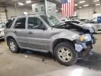 2007 Ford Escape XLT