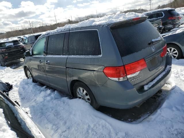 2008 Honda Odyssey EXL