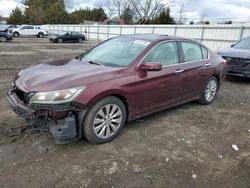 Salvage cars for sale at Finksburg, MD auction: 2014 Honda Accord EXL