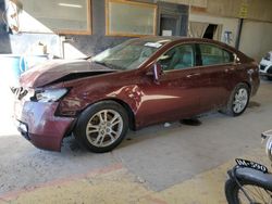 Salvage cars for sale at Indianapolis, IN auction: 2009 Acura TL