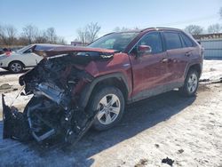 Salvage cars for sale at Chicago Heights, IL auction: 2021 Toyota Rav4 XLE