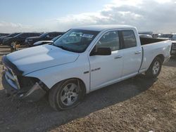 Dodge Vehiculos salvage en venta: 2010 Dodge RAM 1500