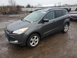 Ford Escape se Vehiculos salvage en venta: 2016 Ford Escape SE