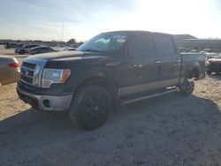 Vehiculos salvage en venta de Copart San Antonio, TX: 2010 Ford F150 Supercrew