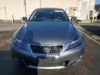 2013 Lexus IS 250