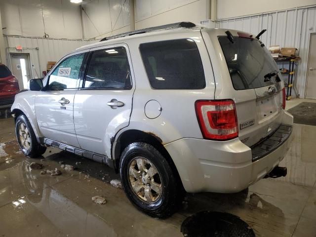 2011 Ford Escape Limited