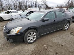 Salvage cars for sale from Copart Baltimore, MD: 2007 Nissan Maxima SE