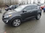 2016 KIA Sportage EX