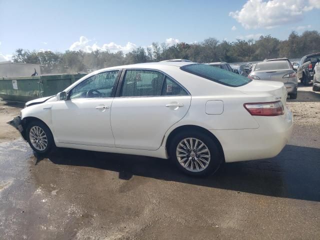 2007 Toyota Camry Hybrid