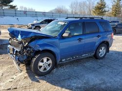 Salvage cars for sale at Davison, MI auction: 2011 Ford Escape XLT