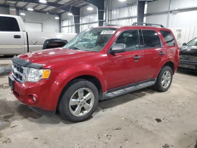 2011 Ford Escape XLT