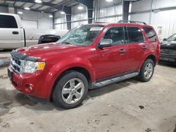 Ford salvage cars for sale: 2011 Ford Escape XLT