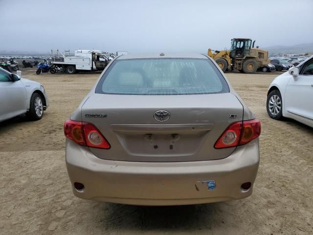 2009 Toyota Corolla Base