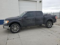 2013 Ford F150 Supercrew en venta en Farr West, UT