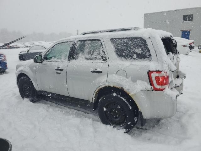 2011 Ford Escape XLT