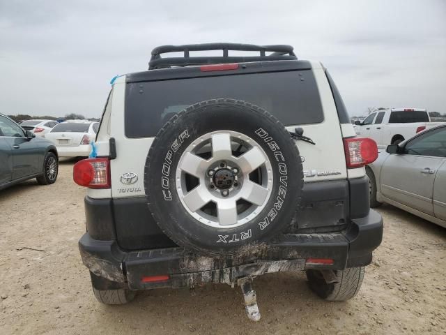 2010 Toyota FJ Cruiser