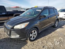 Ford Escape salvage cars for sale: 2014 Ford Escape SE