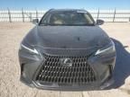 2025 Lexus NX 250 Base