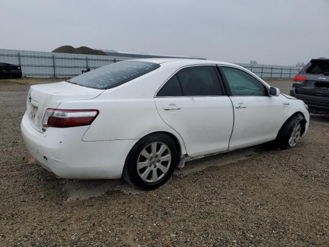 2009 Toyota Camry Hybrid