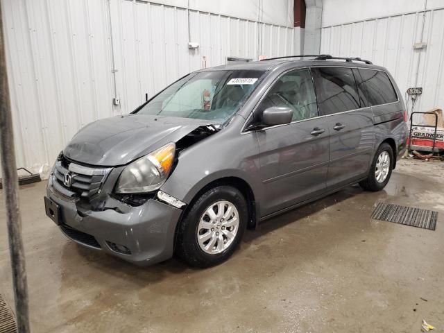 2008 Honda Odyssey EXL