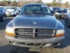 2003 Dodge Dakota SXT