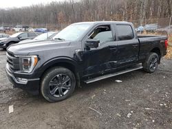 Salvage cars for sale at Baltimore, MD auction: 2023 Ford F150 Supercrew