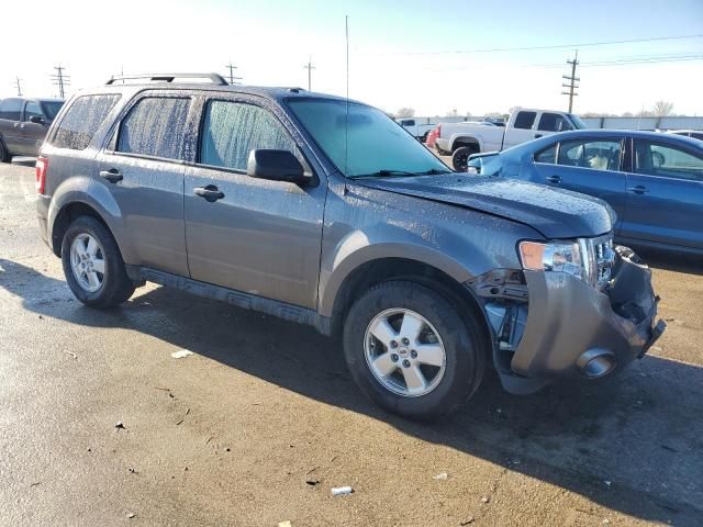 2009 Ford Escape XLT